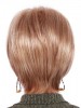 Fashion Synthetic Lace Front Wig