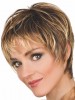 Fashion Synthetic Short Spiky Wig